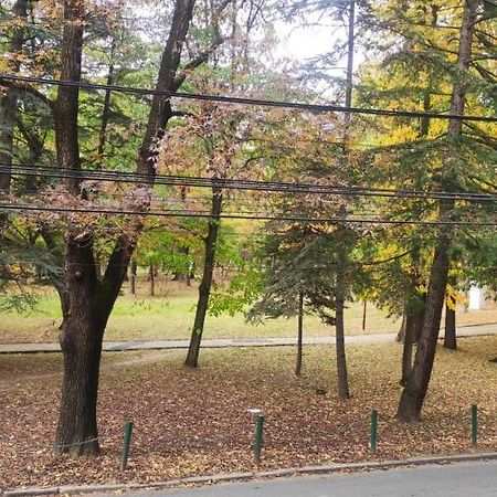 アランジェロヴァツCentar_Parkアパートメント エクステリア 写真